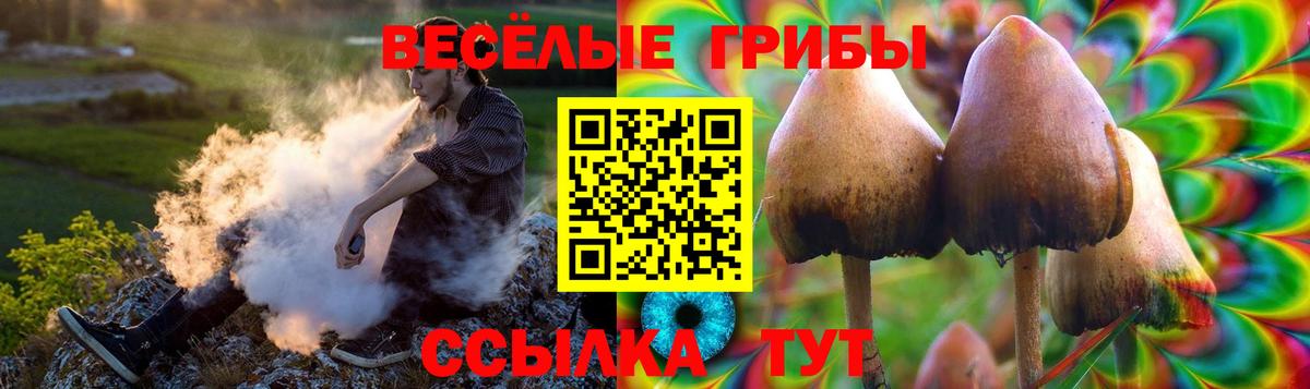 Галлюциногенные грибы Psilocybine cubensis  Вход с VPN  Галлюциногенные грибы Psilocybe  Сургут 